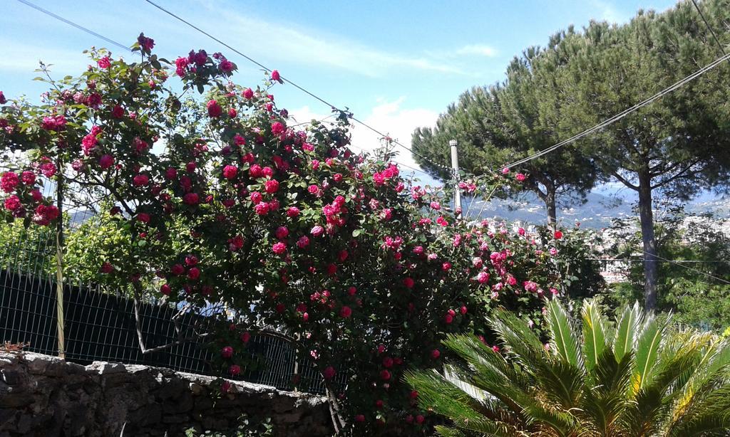 Tre Pini Apartment Λα Σπέτσια Εξωτερικό φωτογραφία