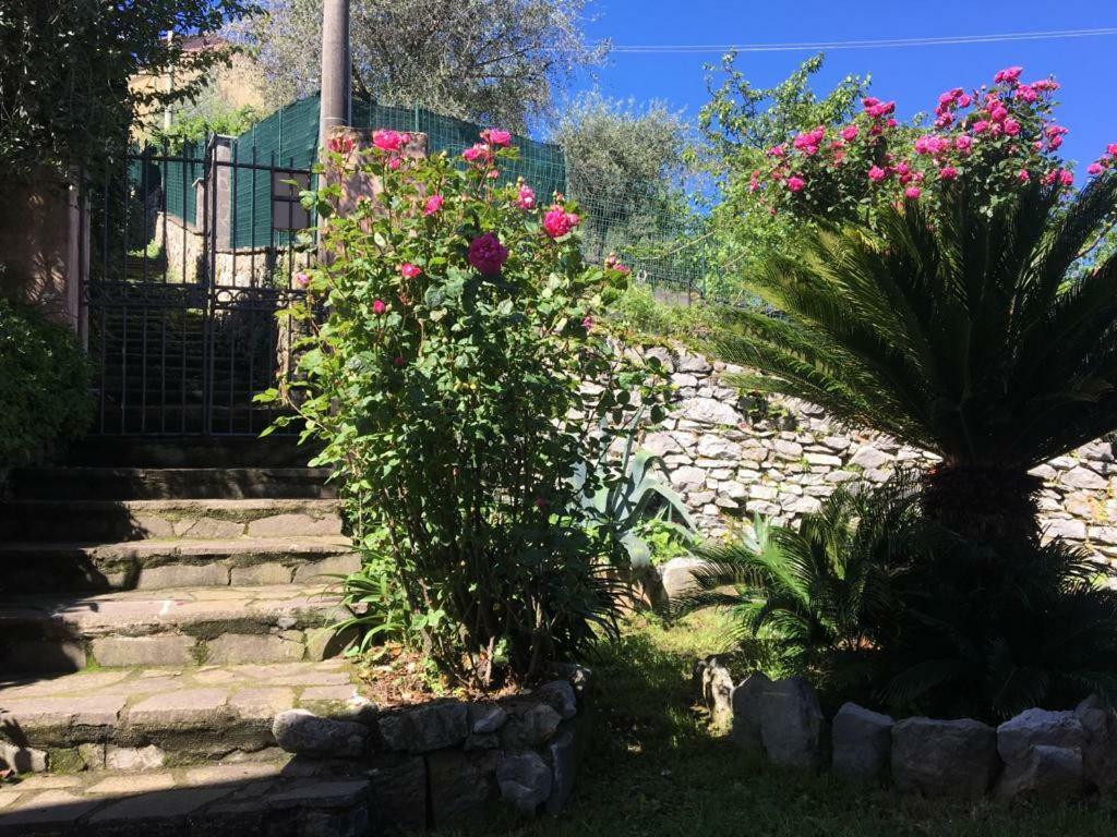 Tre Pini Apartment Λα Σπέτσια Εξωτερικό φωτογραφία